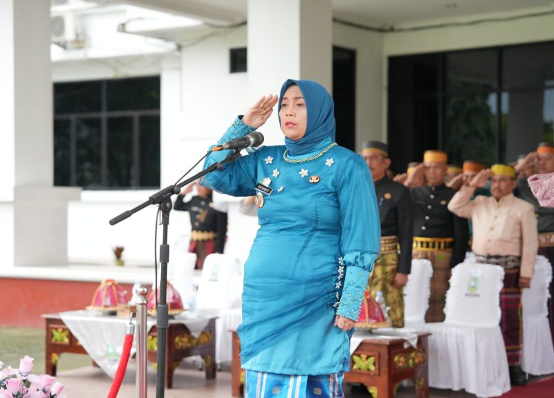 (Dok: Kominfo Sinjai/Salim)